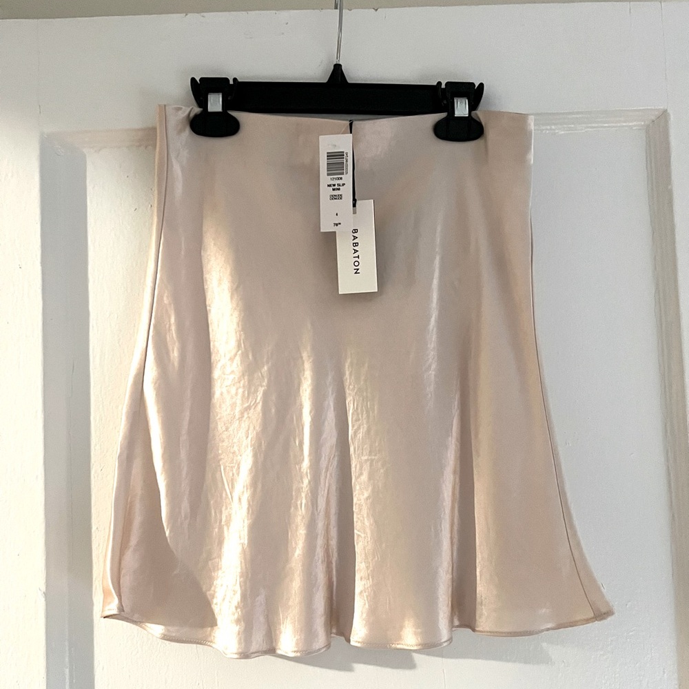 Aritizia Babaton Slip Skirt